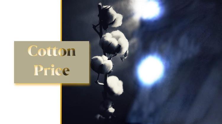 Βαμβάκι: Απογοητευμένοι οι αγρότες από τις χαμηλές τιμές