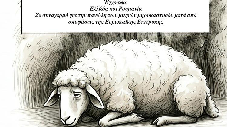 Ελλάδα και Ρουμανία: Σε συναγερμό για την πανώλη και την ευλογιά μετά από αποφάσεις της ΕE