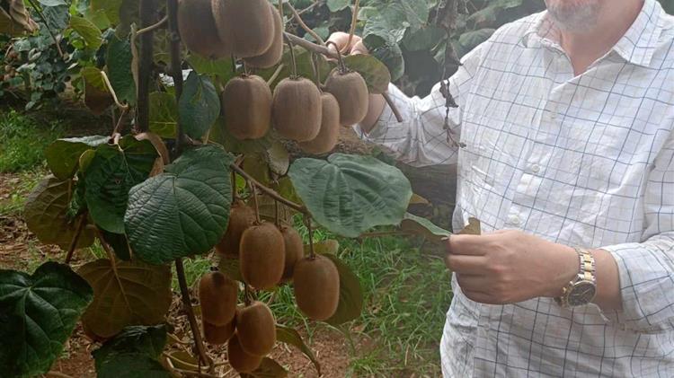 Συμβουλευτική ακτινιδίων