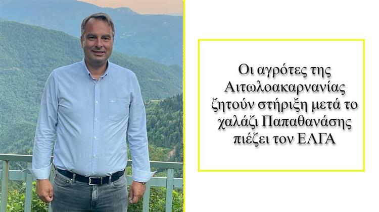 Παπαθανάσης: Επίσπευση αποζημιώσεων για τους πληγέντες αγρότες της Αιτωλοακαρνανίας