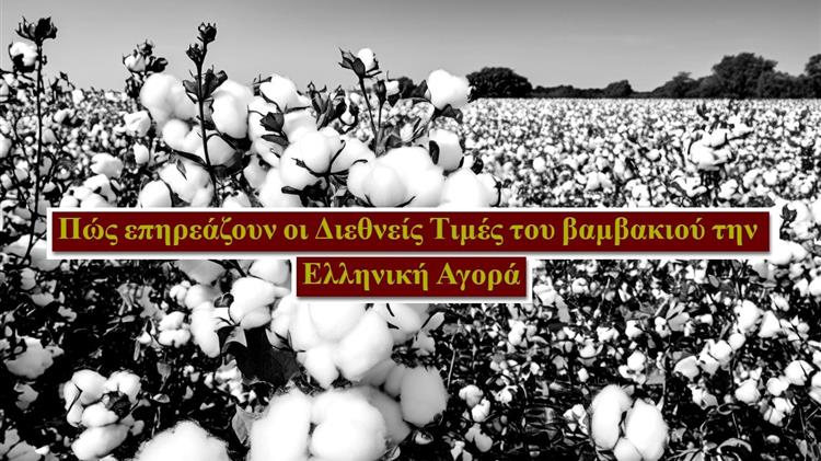 Βαμβάκι: Οι τρέχουσες τιμές και οι παράγοντες που τις επηρεάζουν