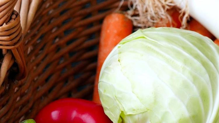 Ημέρα βιολογικής παραγωγής της ΕΕ 2024: Γιορτάζοντας την αριστεία στη βιολογική παραγωγή