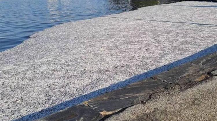 Μια προδιαγραμμένη οικολογική καταστροφή εξελίσσεται αυτές τις ημέρες στη Θεσσαλία