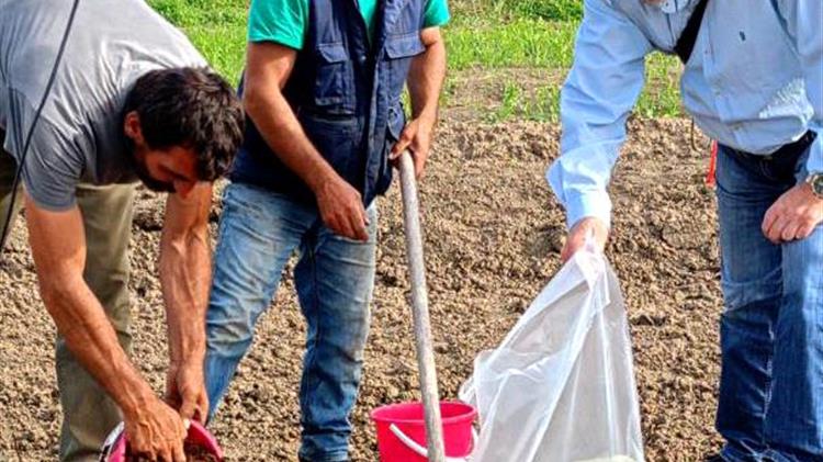 Άνοιγμα αυλαίας για τις νέες φυτεύσεις ακτινιδίων