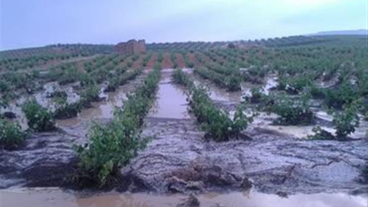 Ισπανία: Χιλιάδες εκτάρια καλλιεργειών κάτω από το νερό