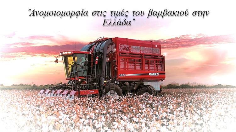 Η διαδρομή της τιμής του βαμβακιού από το χωράφι στο εκκοκκιστήριο