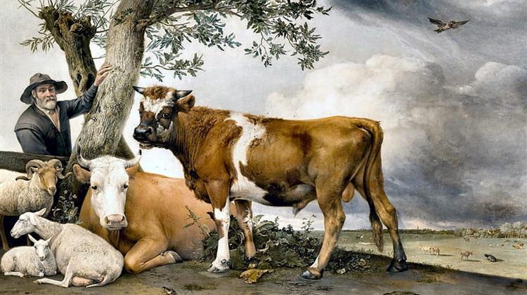 Στήριξη 119,7 εκατ. ευρώ από την ΕΕ για την ανάκαμψη της γεωργίας