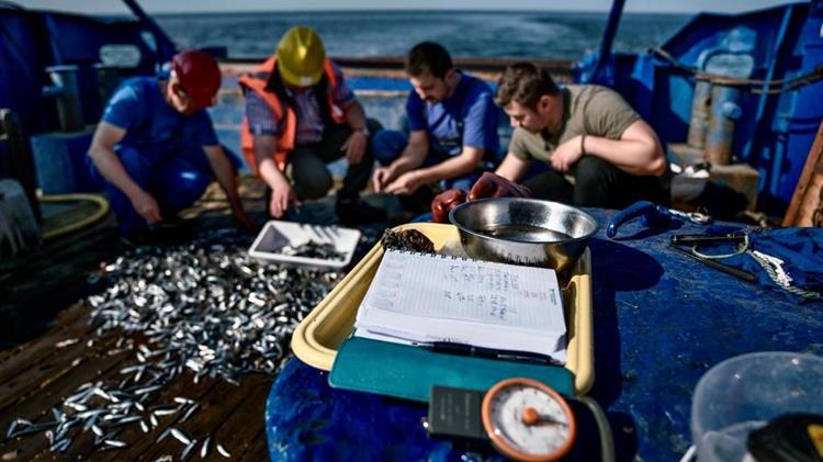 FAO-GFCM: Happy Black Sea day - Supporting sustainable fisheries and aquaculture in the Black Sea