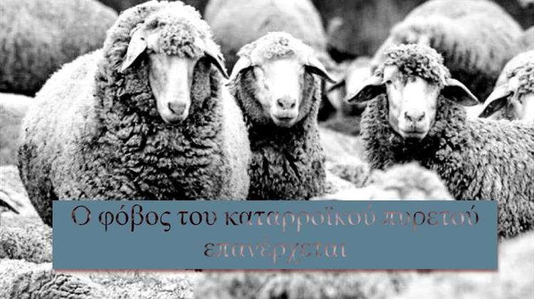 Ο φόβος του καταρροϊκού πυρετού επανέρχεται