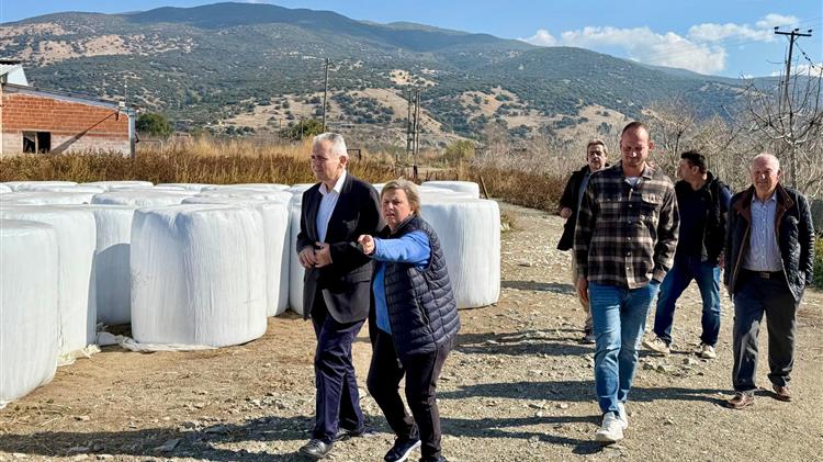 Να μην αποζημιωθούμε “όταν τα γαϊδούρια ανέβουν στις καρυδιές”