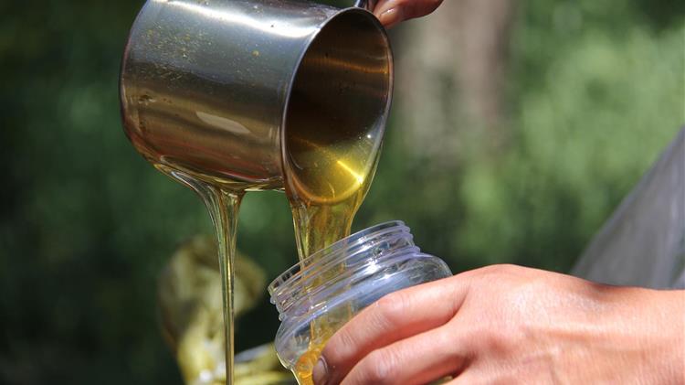 Νοθευμένο το 80% του μελιού στη Γερμανία