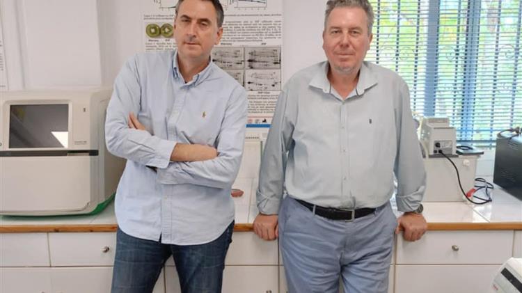 Μετασυλλεκτική λίπανση  της ακτινιδιάς