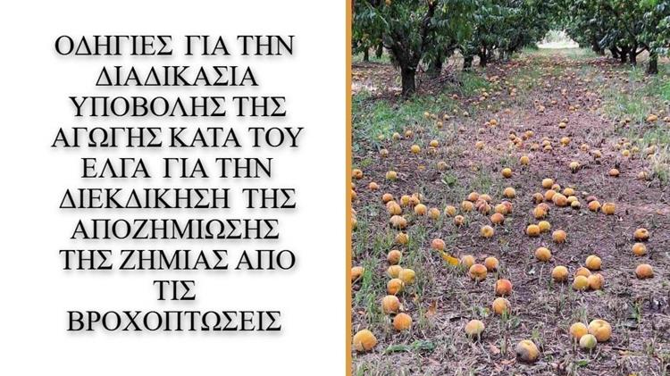 Αγωγές κατά του ΕΛΓΑ για καρπόπτωση ροδάκινων στην Ημαθία