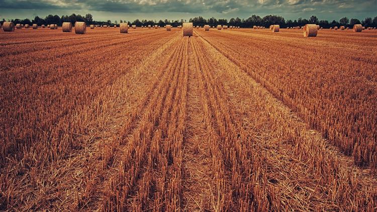 ΟΠΕΚΕΠΕ: Από σήμερα η καταχώρηση ποσοτήτων για τις Συνδεδεμένες Ενισχύσεις