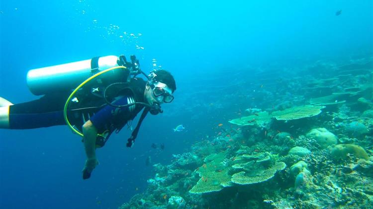 «Πράσινο φως» για το Καταδυτικό Πάρκο στους Φούρνους Ικαρίας