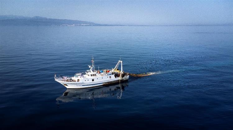 Happy World Fisheries Day The GFCM fisheries advisory process in action: the crucial role of surveys-at-sea