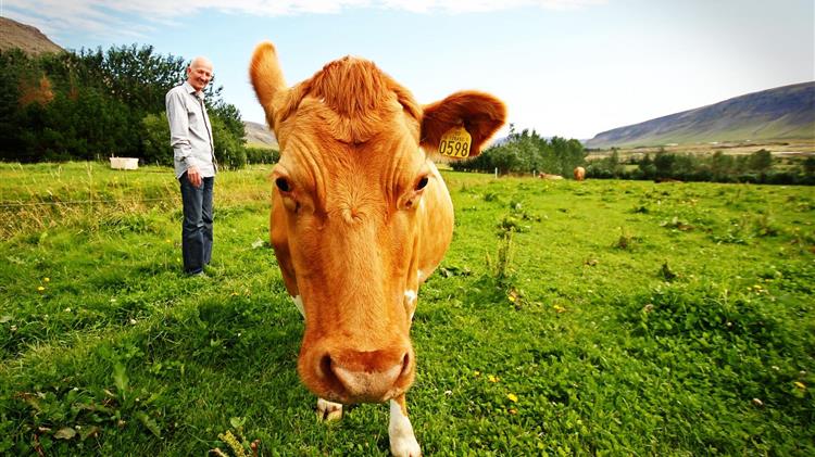 Ο ρόλος της κτηνοτροφίας στο οικοσύστημά μας