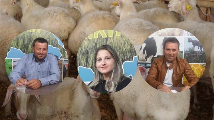 Έκτακτη σύγκλιση για την ευλογιά στον Τύρναβο: Κτηνοτρόφοι ζητούν λύσεις