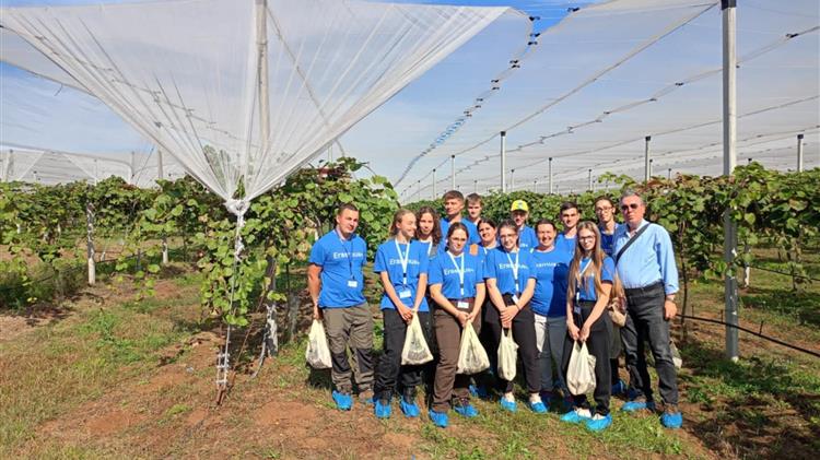 Μετασυλλεκτική «Φυτοπροστασία» στο ακτινίδιο
