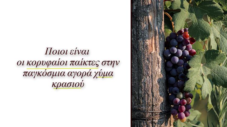 Ποιες χώρες κατακτούν την παγκόσμια αγορά χύμα κρασιού;