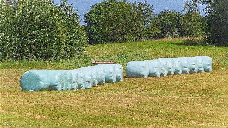 Ευλογιά Αιγοπροβάτων: «Έρχεται» ενίσχυση για αγορά ζωοτροφών