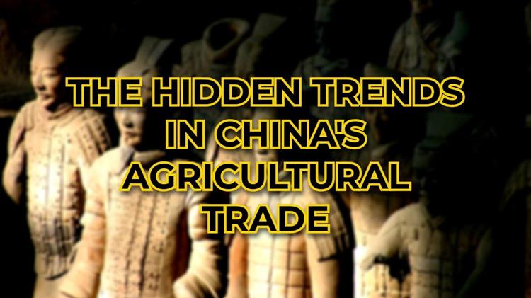 Η Κίνα βάζει «φρένο» στις εισαγωγές σιταριού και καλαμποκιού - Τι κρύβεται πίσω από αυτήν την απόφαση;