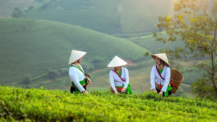 Κίνα: Συνεχίζει τις κινήσεις «θωράκισης» της επισιτιστικής της ασφάλειας