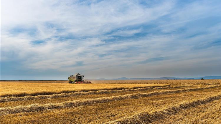 Η Κίνα αναμένει συγκομιδή-ρεκόρ σε σιτηρά το 2025