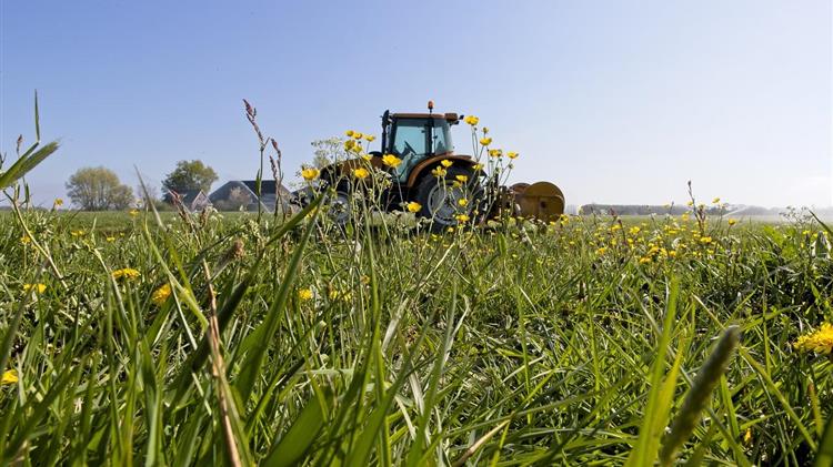 Φυτοπροστασία: Το δίλημμα μεταξύ παραγωγής και προστασίας του περιβάλλοντος