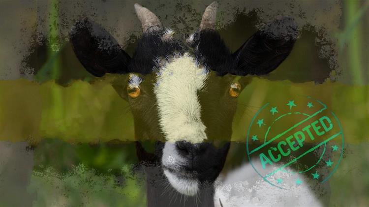 Επί του πιεστηρίου: Ξεκινούν σήμερα εξονυχιστικοί έλεγχοι του ΟΠΕΚΕΠΕ