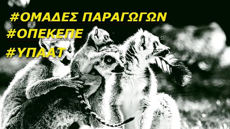 ΟΠΕΚΕΠΕ και Ομάδες Παραγωγών: Η λύση για τα προβλήματα του αγρότη ή απλά μια νέα γραφειοκρατία;