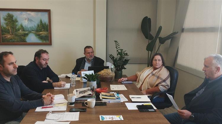 Δωρεάν στειρώσεις ζώων συντροφιάς για τη μείωση των ανεξέλεγκτων γεννήσεων