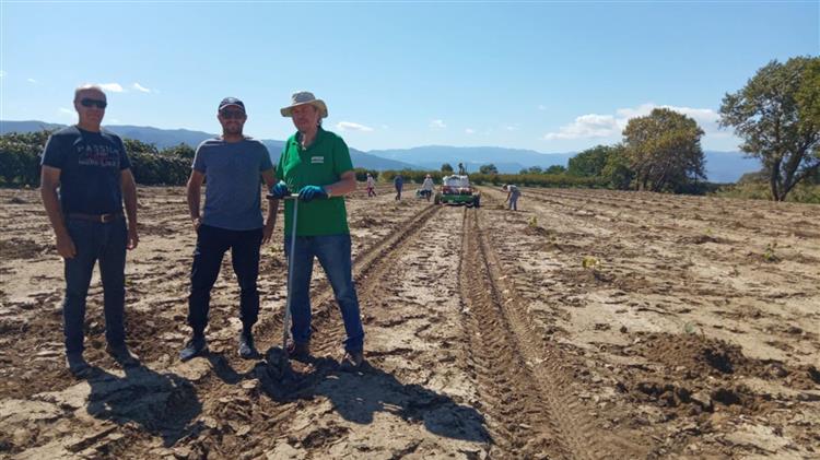 Ακτινίδια και  “Εδαφολογική” ανάλυση