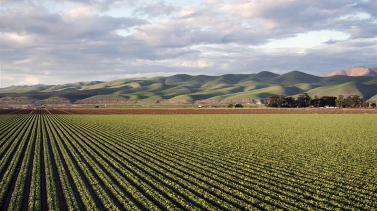 Φραστανλής: Χωρίς ενισχύσεις το 30% των αγροτεμαχίων λόγω ΑΤΑΚ