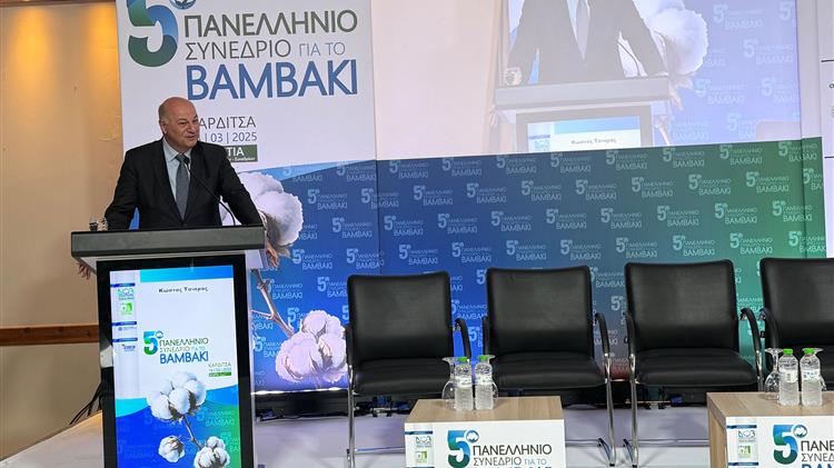 Χωρίς παράδοση βαμβακιού η συνδεδεμένη ενίσχυση για τις πληγείσες περιοχές