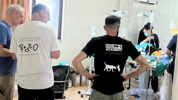 Ολοκληρώθηκε η δεύτερη δράση του Δήμου Μινώα Πεδιάδας για τη διαχείριση των αδέσποτων ζώων