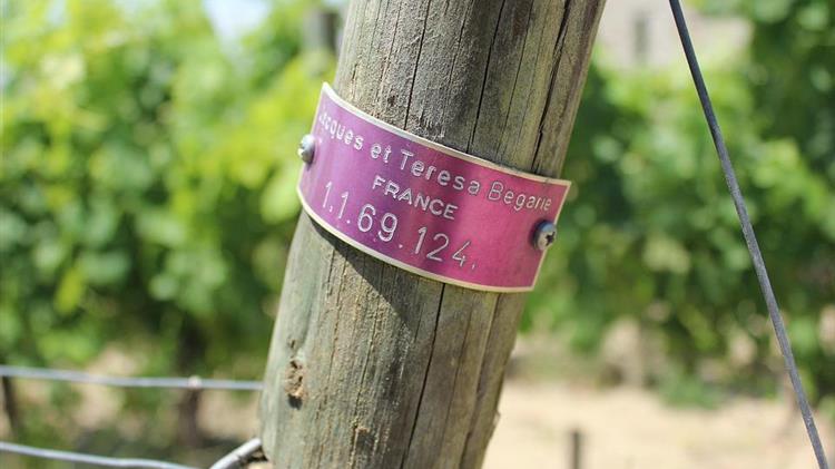 Αλκοολούχα ποτά: Ο αμερικανικός δασμολογικός λαβύρινθος απειλεί τζίρους δισεκατομμυρίων