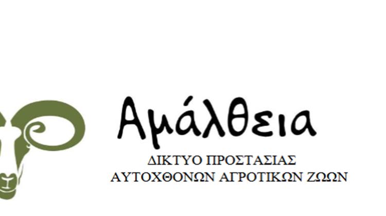 "Κάρλα": Μια νέα φυλή πρόβατων στην Ελλάδα;