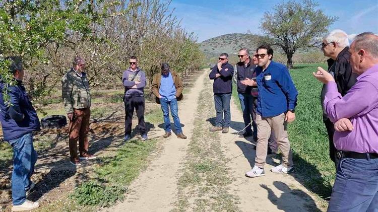 Άμεσες ενέργειες και επικοινωνία με Λυκουρέντζο για αποζημιώσεις από τον παγετό