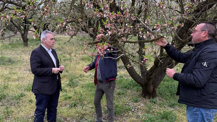 Καθολική η καταστροφή, σε απόγνωση οι παραγωγοί