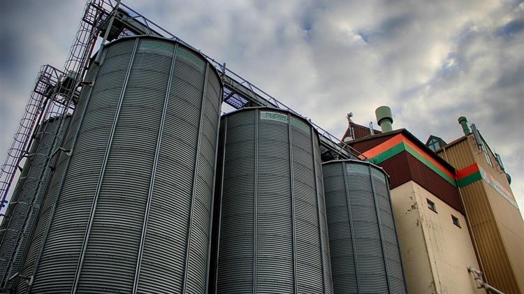 Ρωσία: Κρίσιμος εξαγωγέας σκληρού σίτου – Η στρατηγική πορεία και οι παγκόσμιες ισορροπίες