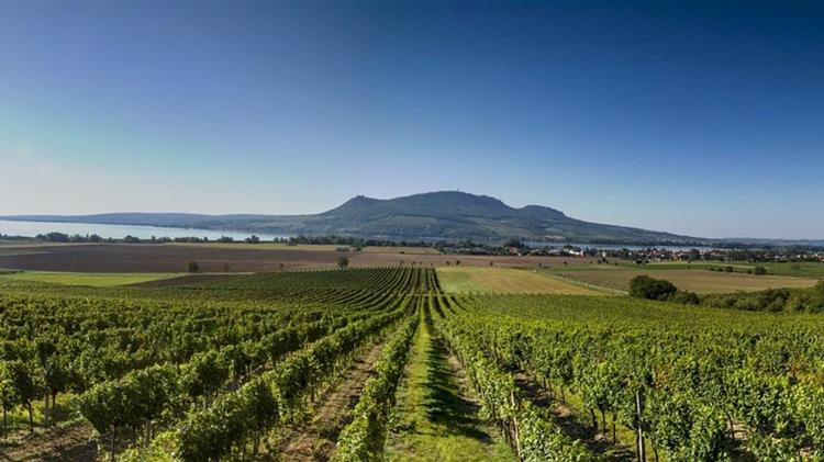 Η Ελλάδα των αμπελιών – Δεύτερη στην Ευρώπη με κρασί από γενιά σε γενιά!