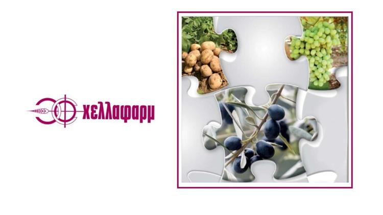 Κομφούζιο: Η Χελλαφάρμ ενισχύει το πρόγραμμα φερομονικής διαχείρισης με εξειδικευμένα σκευάσματα και τεχνική υποστήριξη