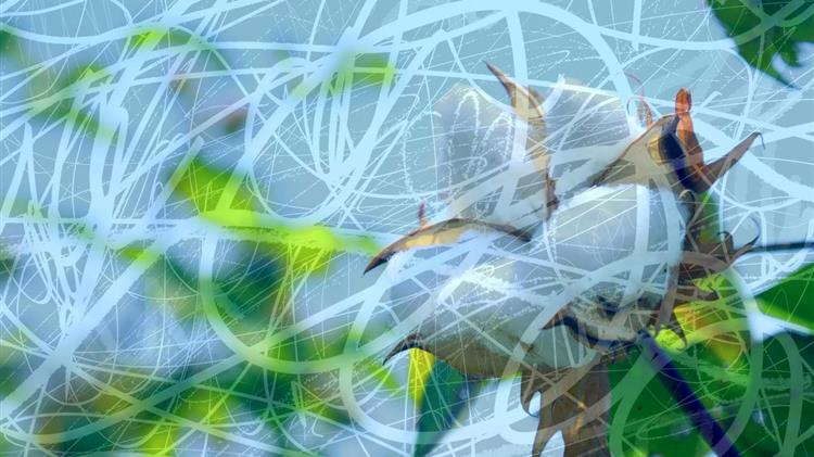 Όταν το βαμβάκι βάφεται με ντροπή: Ποιος θα μιλήσει τελικά για την απάτη;