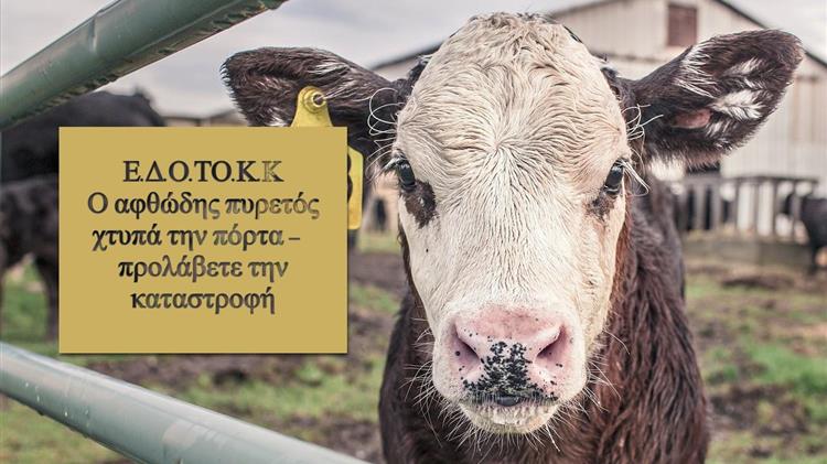 ΕΔΟΤΟΚΚ: Κλείστε τα σύνορα πριν να είναι αργά!