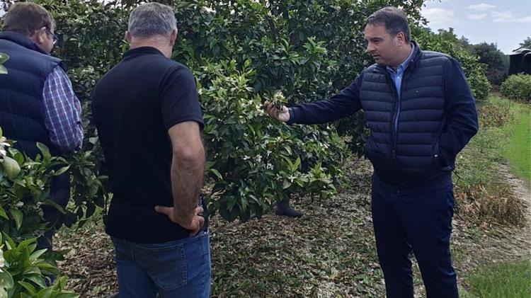 Παπαθανάσης: Άμεση η ανταπόκριση της πολιτείας – Δίπλα στους πληγέντες παραγωγούς της Αιτωλοακαρνανίας