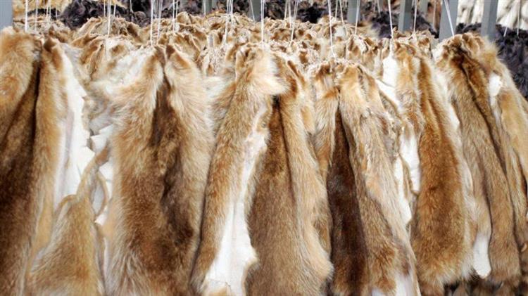 Παράταση του μέτρου της αναστολής συμβάσεων εργασίας εργαζομένων στον κλάδο της γουνοποιίας