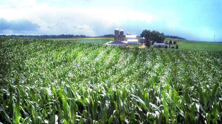 ΗΠΑ: Η Bayer προειδοποιεί για το τέλος του Roundup λόγω αυξανόμενου κόστους από τις αγωγές για καρκίνο