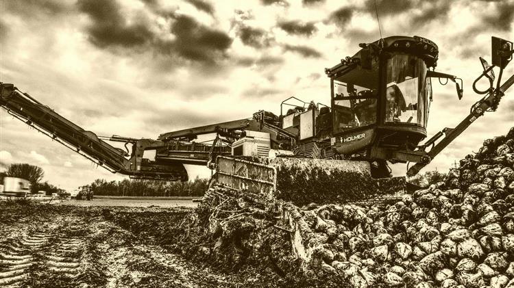 Επιστροφή στην πραγματικότητα για τη ζάχαρη – Οι τιμές καταρρέουν