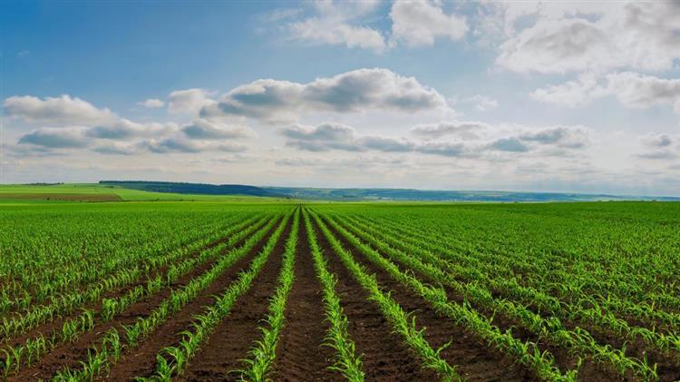 Ελλάδα: Η EPPO ερευνά αξιωματούχους του ΟΠΕΚΕΠΕ για φερόμενη οργανωμένη απάτη και διαφθορά στις γεωργικές επιδοτήσεις